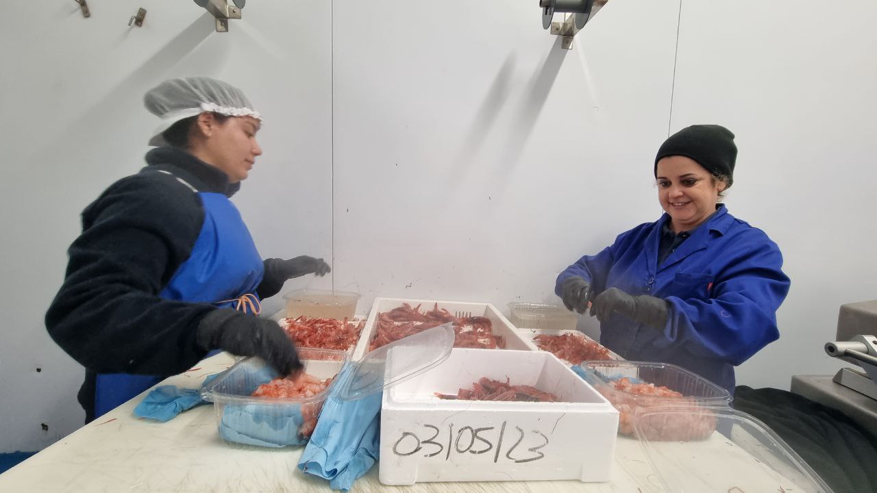 Operarias trabajando en la planta de transformación.