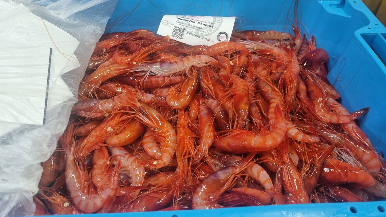 Gambas de Palamós.